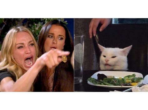 How A Cat Named Smudges Distaste For Salad Created One Of 2019s Most