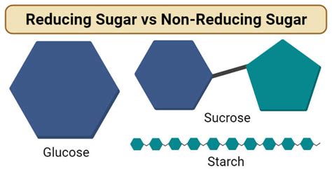 Reducing Sugar Vs Non Reducing Sugar