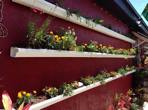 Using Gutters As Planters