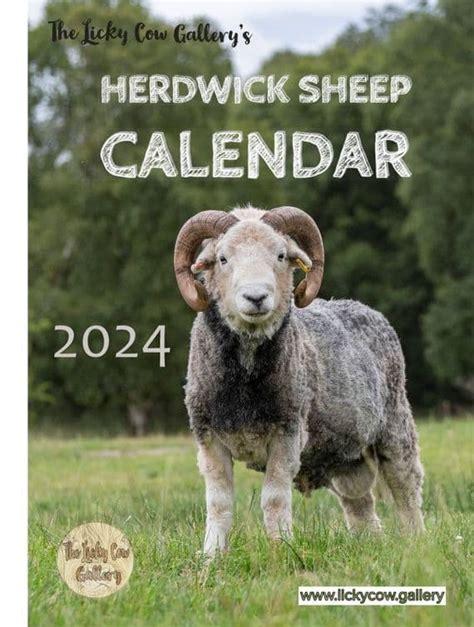 Herdwick Sheep Calendar 2024