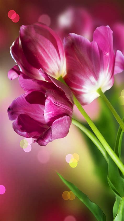 April Wallpapers High Quality Download Free