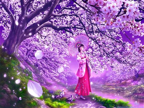 Wallpaper Japan Cherry Blossoms 71 Images