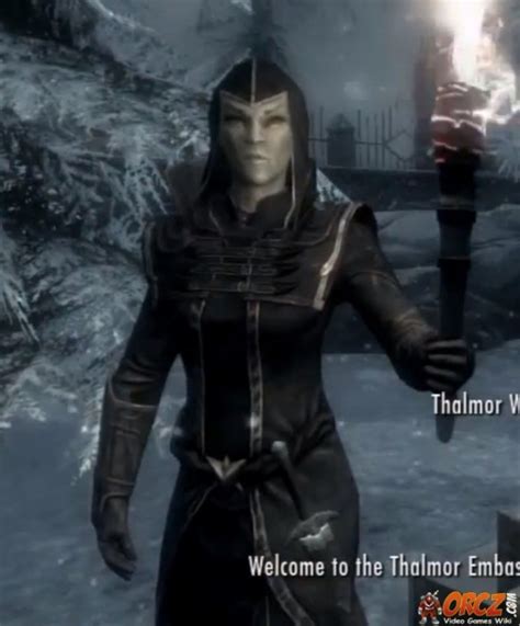 Skyrim Thalmor Wizard The Video Games Wiki
