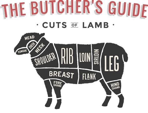 Butchers Guide Lamb