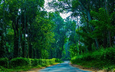 Coorg Wallpapers Top Free Coorg Backgrounds Wallpaperaccess