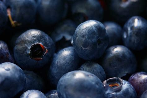Free Picture Blueberry Food Fruit Berry Sweet Diet Shadow