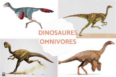 6 Dinosaures Omnivores Caractéristiques Et Photos