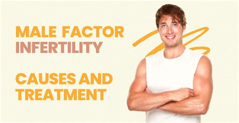 Dr Ivf Infertility Male Factor Infertility Understanding The Causes
