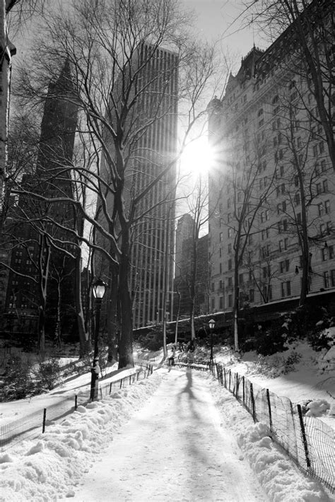 New York City Nightlight A Storybuilddirect Blog Life