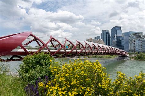 8 Awesome Things To Do In Calgary Alberta In Summer