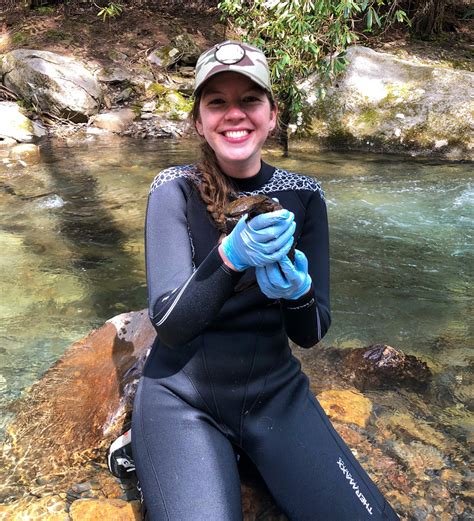 Saving The Hellbender Salamander Flcc Forward