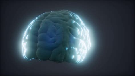 Loop Rotating Human Brain Animation Stock Footage Sbv 338895639
