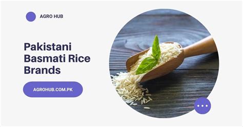 Best Basmati Rice In Pakistan Agro Hub