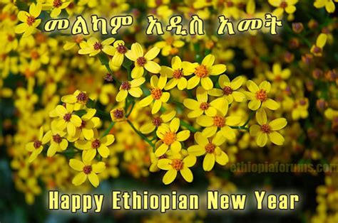 Enkutatash A Flowery Ethiopian New Year Ethiosports
