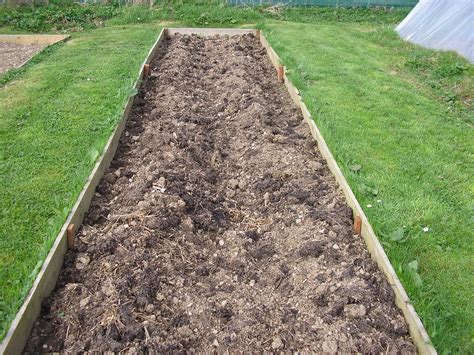 You can purchase fully grown plants at most gardening stores and deposit them directly into the ground. Grow your own vegetables sustainably using organic ...