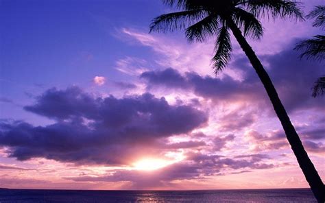 Island Paradise Sunset Wallpapers Top Free Island Paradise Sunset