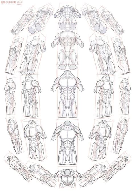 Pin By Distant Screaming On Anatomy And Art Drawings Body