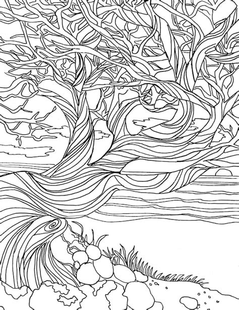 Download Nature Coloring Pages For Adults Png Colorist