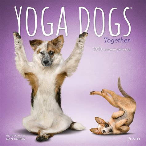 Yoga Dogs Calendar 2022 September Calendar 2022