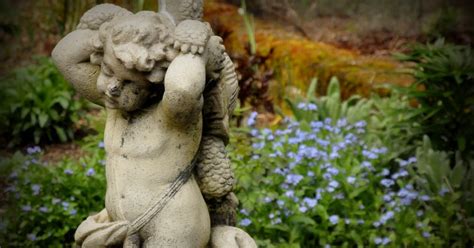 Find your usda zone > MySecretGarden: Garden in the Beginning of April