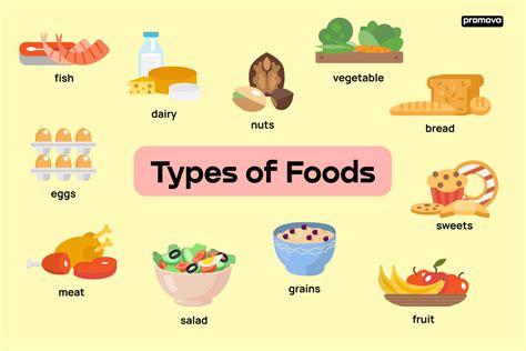 Types Of Food English Vocabulary