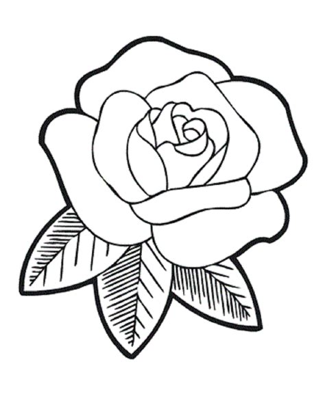 Rose Flower Coloring Pages Flower Coloring Page