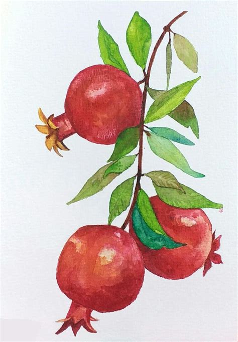 A Painting Of Pomegranates On A Branch With Leaves