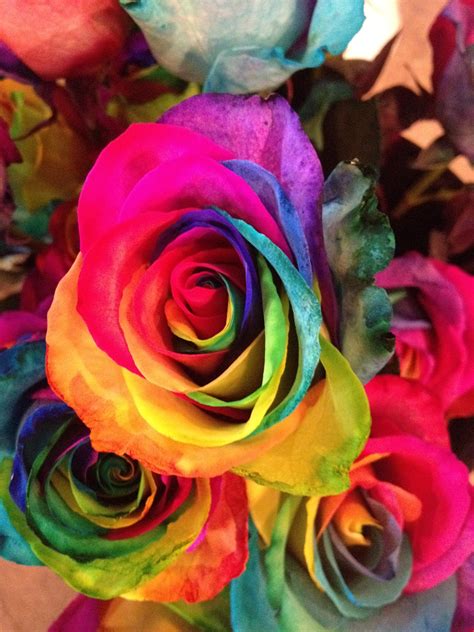 Flowers come in different shades of colors ranging from purest white to nearest black. The Story of Quik Pik Flowers: Rainbow Rose