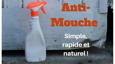 Spray Anti Mouche Facile Simple Efficace Et Naturel 🐜 Youtube