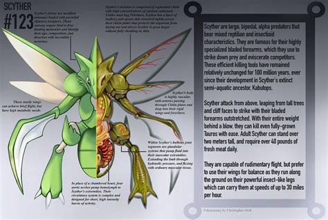 El Libro De Anatomía Que Muestra El Interior De Los Pokémon Pokemon Pokemon Pictures Anatomy
