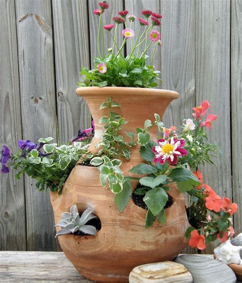 Terracotta Strawberry Pots Bunnings