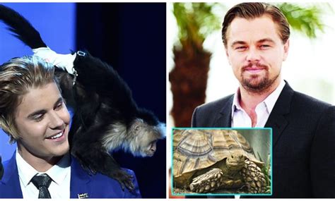 10 Celebrities With The Most Exotic Pets Leo Has A Tortoise