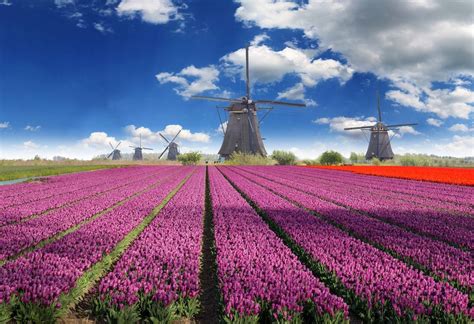 That (in or to a low position, manner or state: 7 lugares que tienes que visitar en los Países Bajos - Mi ...