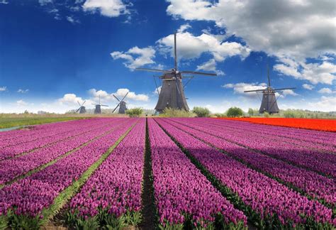 Países bajos es miembro de la unión europea. 7 lugares que tienes que visitar en los Países Bajos - Mi ...