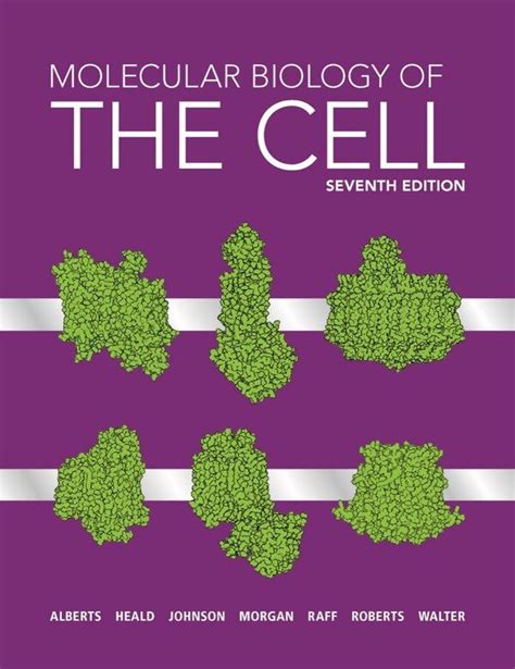 Molecular Biology Of The Cell By Bruce Alberts Hardcover Indigo Chapters Molecular Biology