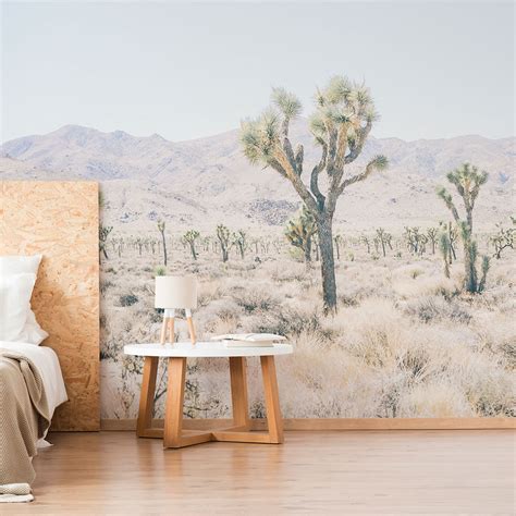 Desert Plain Photo Wall Mural 41 Orchard