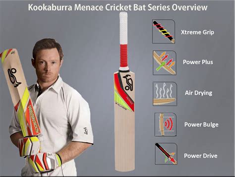 Cricket Sports Information Cricket Bats Guide Cricket Equipment