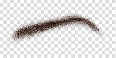 Eyebrow Texture Png