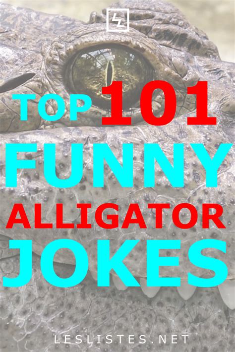 Alligators Are Top Level Predators However They Can Also Be Really