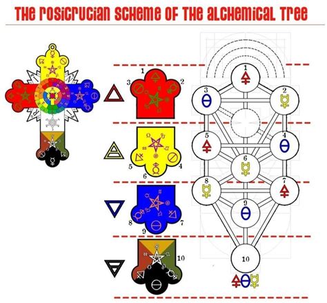 The Rosicrucian Diagram Of Kabbalah Tree Of Life Occult Hermetic