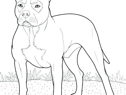 Download and print these pitbull printable coloring pages for free. Pitbull Dog Coloring Pages at GetColorings.com | Free ...