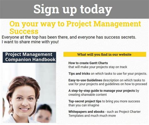 Project Management Process Flow Chart Project Management Companion