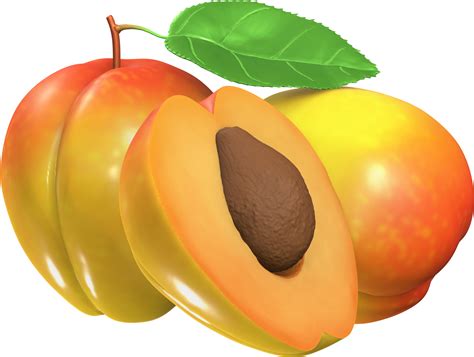 3d Apricot Fruit Illustration 17225633 Png