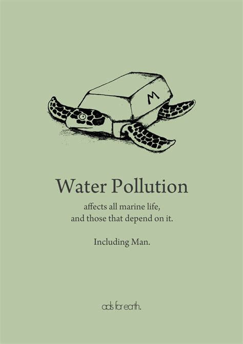 Water Pollution Affects Man Just As Much As Marine Life