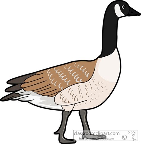 Canada Goose Clipart 20 Free Cliparts Download Images On Clipground 2019