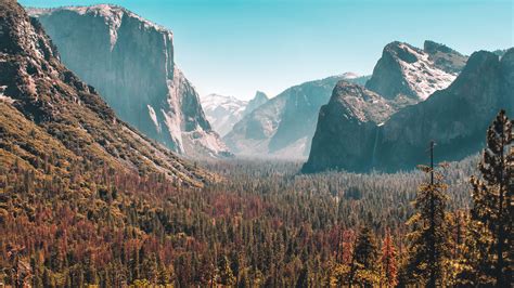 3840x2160 Forest Mountain Yosemite Valley 5k 4k Hd 4k Wallpapers