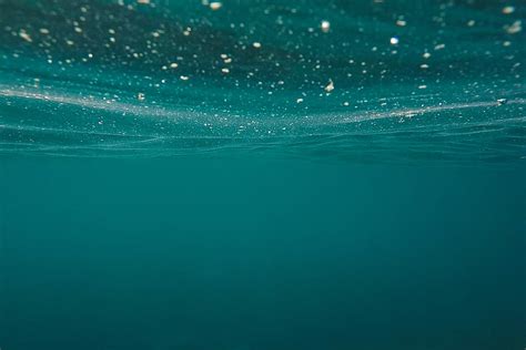 Teal Underwater Photograph Hd Wallpaper Wallpaper Flare