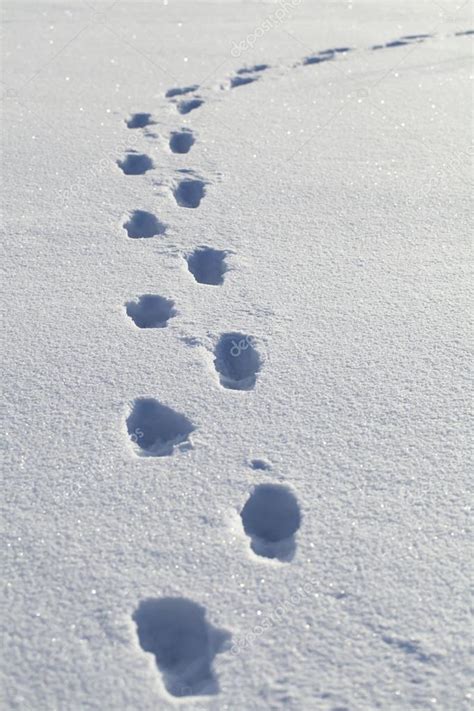 Human Footprints In The Snow — Stock Photo © Ilze79 19659195