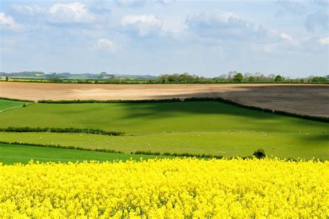 Improved Countryside Stewardship Scheme Opens For 2022 Agreements Govuk