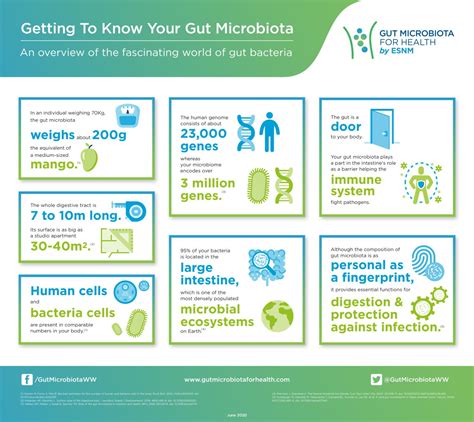 Getting To Know Your Gut Microbiota Gut Microbiota For Health